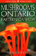 Mushrooms of Ontario