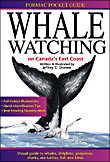 Whale Watching on Canada's East Coast