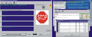 The Driver's Permit Study Guide CD-ROM