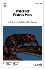 Insects of Eastern Pines